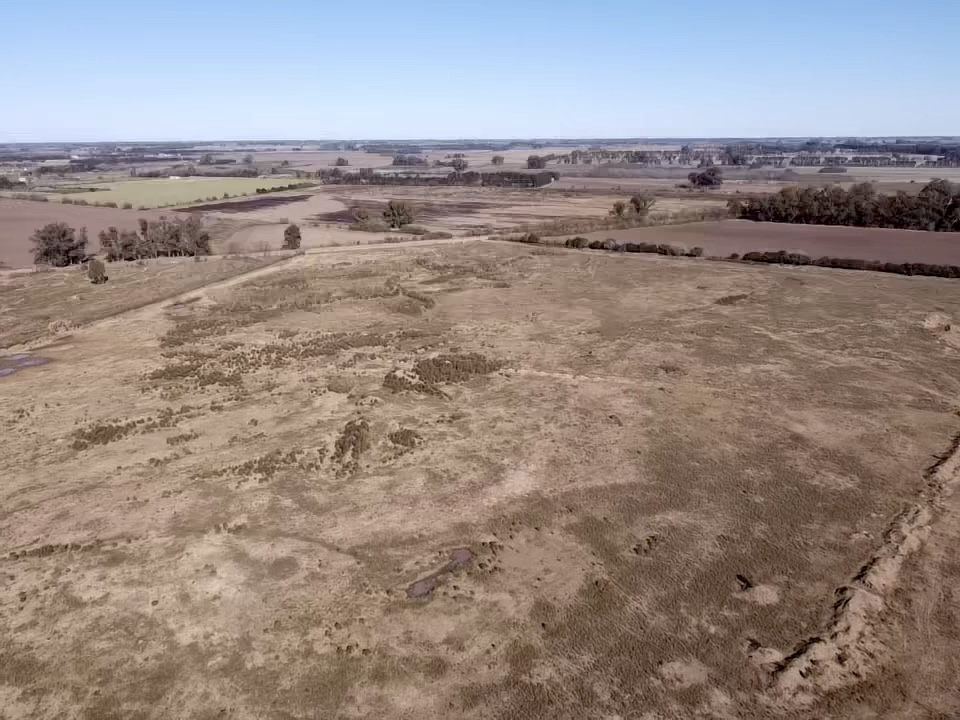 2022-07-07-13-49-43-274