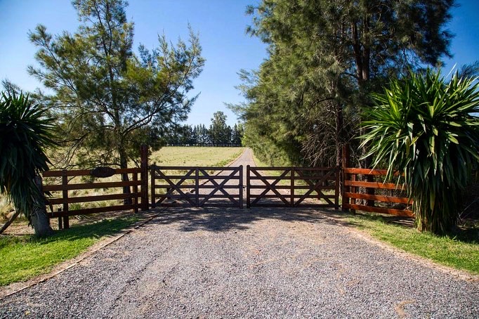 586B82B4-19AE-42FC-8631-901FF5E9553A