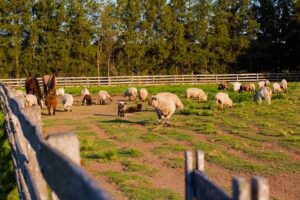 84CA0AF1-E5CC-4456-AD67-04513B1D0AED