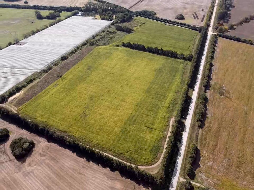 WhatsApp Image 2022-04-19 at 4.28.52 PM