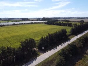 WhatsApp Image 2022-04-20 at 3.30.24 PM (2)