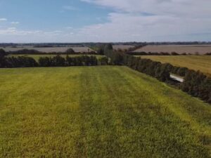 WhatsApp Image 2022-04-20 at 3.30.25 PM