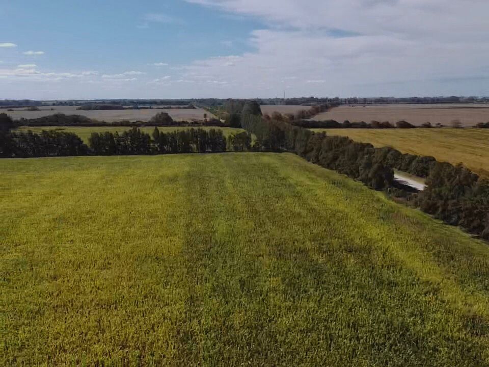 WhatsApp Image 2022-04-20 at 3.30.25 PM