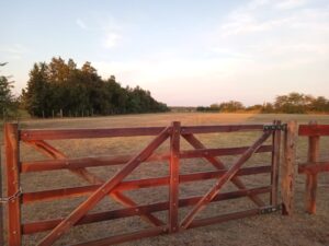 WhatsApp Image 2024-05-02 at 10.44.48