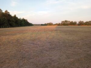 WhatsApp Image 2024-05-02 at 10.44.49 (1)