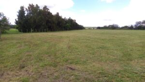 WhatsApp Image 2024-05-02 at 10.44.49 (2)