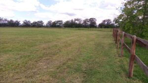 WhatsApp Image 2024-05-02 at 10.44.49 (3)