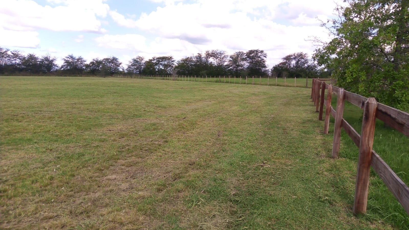 WhatsApp Image 2024-05-02 at 10.44.49 (3)