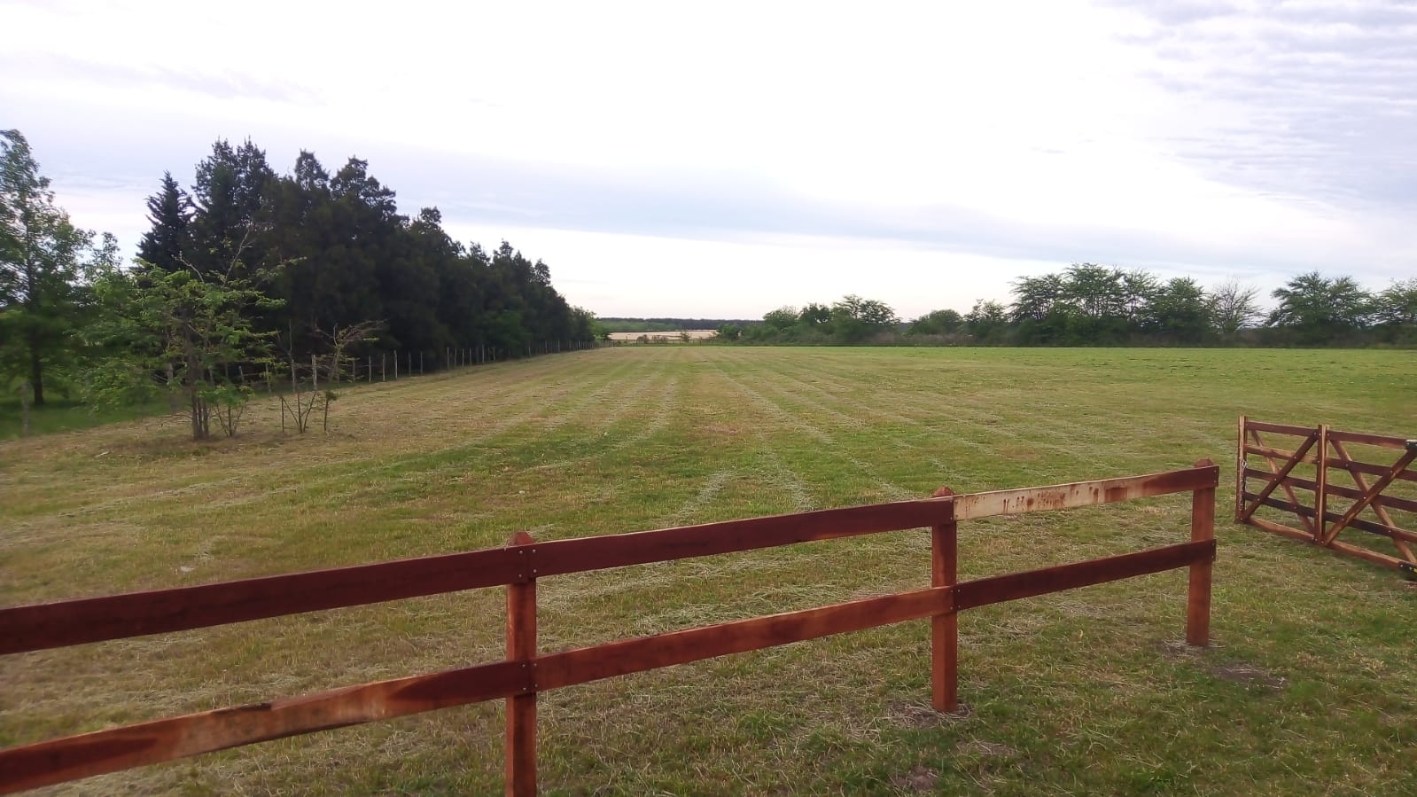 WhatsApp Image 2024-05-02 at 10.44.49 (4)