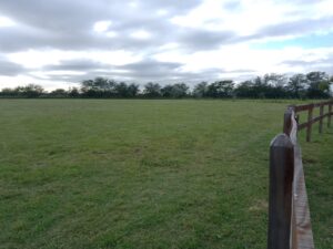 WhatsApp Image 2024-05-02 at 10.44.50 (1)