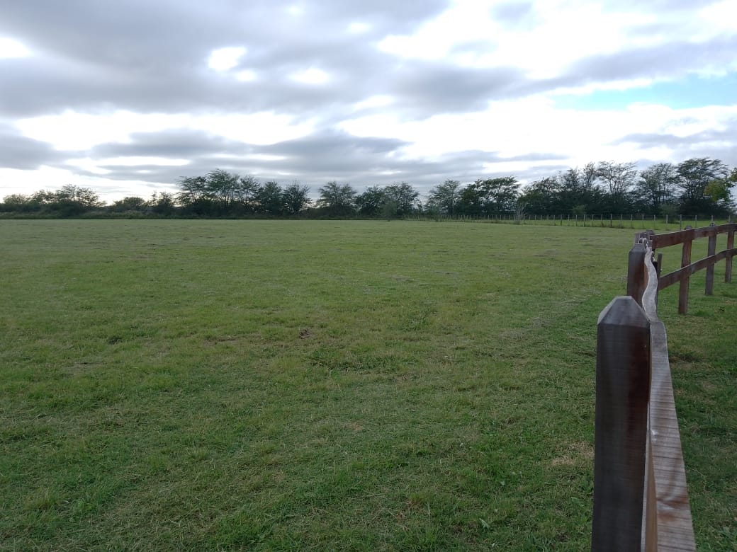 WhatsApp Image 2024-05-02 at 10.44.50 (1)