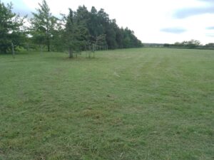 WhatsApp Image 2024-05-02 at 10.44.50 (2)