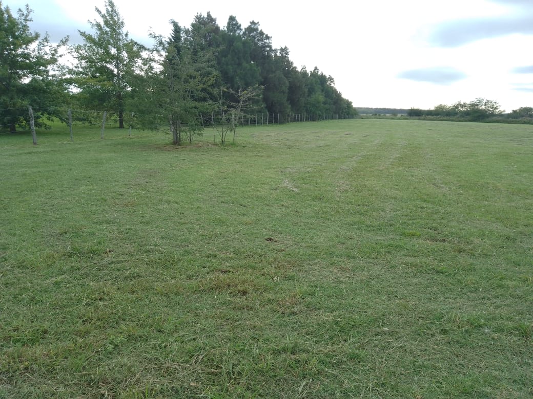 WhatsApp Image 2024-05-02 at 10.44.50 (2)