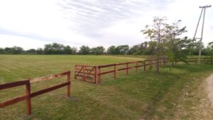 WhatsApp Image 2024-05-02 at 10.44.50