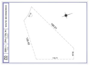 WhatsApp Image 2024-05-02 at 11.00.13