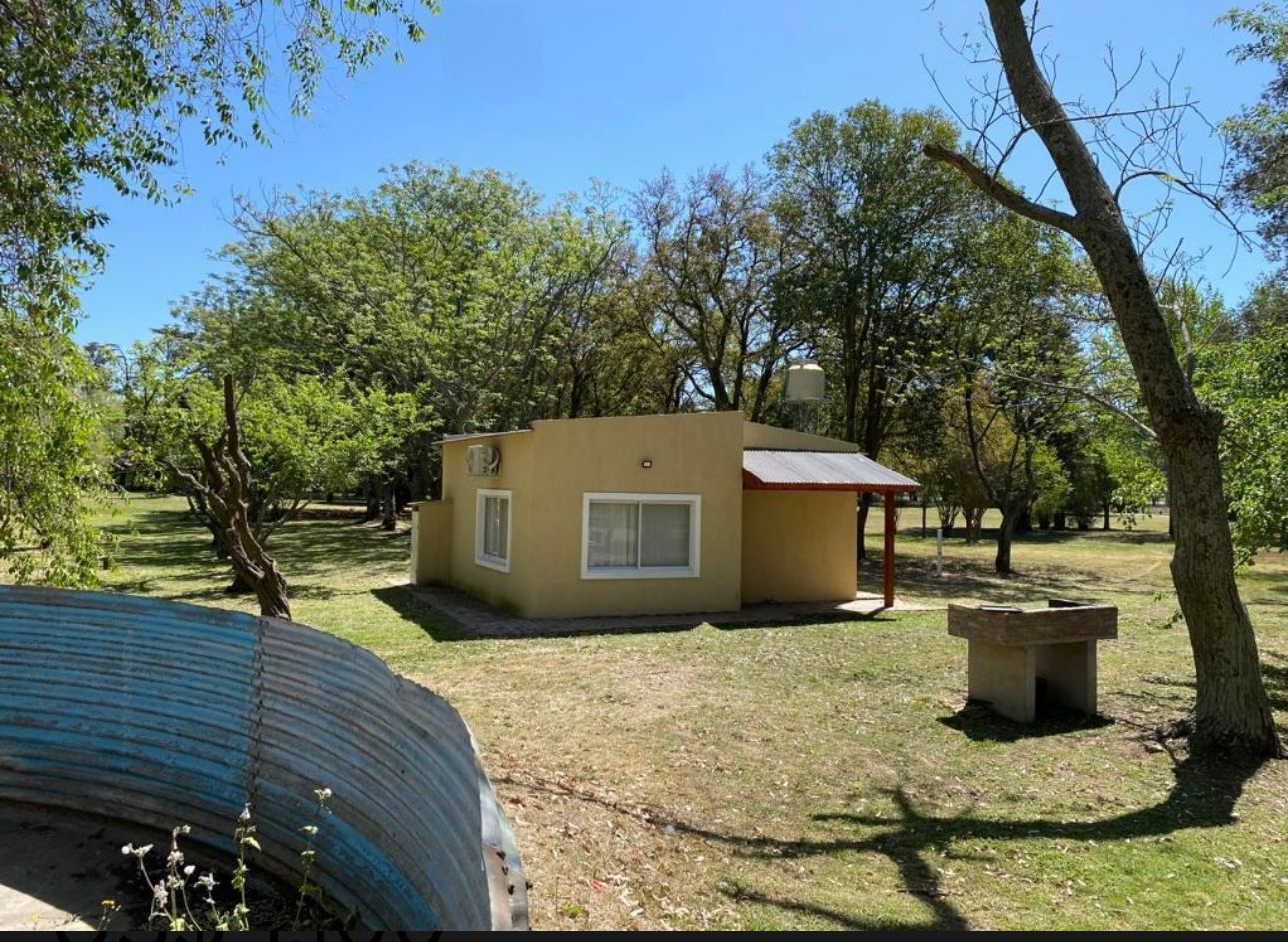 WhatsApp Image 2024-12-11 at 10.08.22 (1)