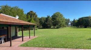 WhatsApp Image 2024-12-11 at 10.08.25