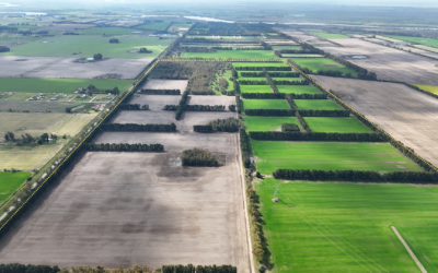 Campo agrícola sobre asfalto