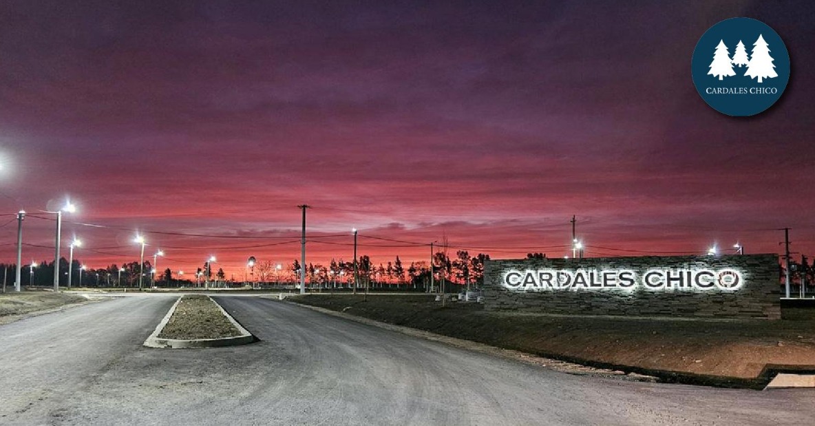 WhatsApp Image 2026-01-22 at 10.45.55