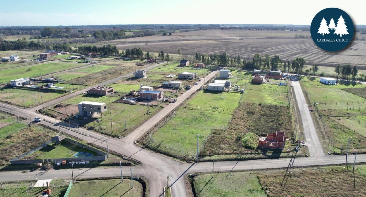 WhatsApp Image 2026-01-22 at 10.46.56