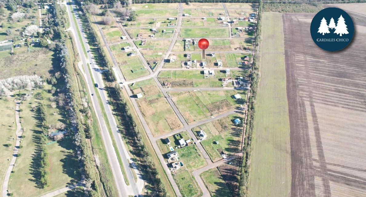 WhatsApp Image 2026-01-22 at 10.48.37