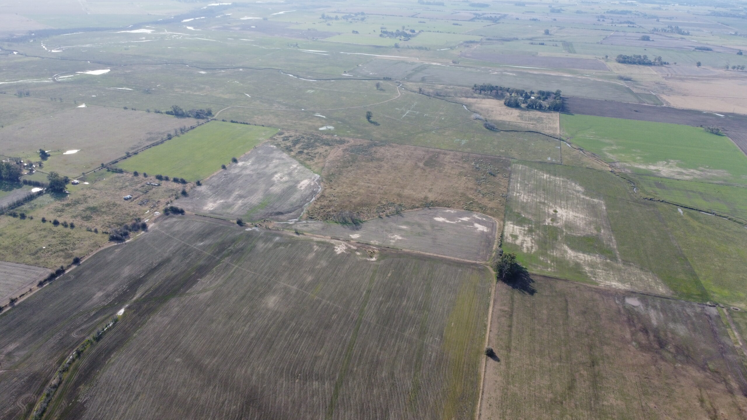 DCIM100MEDIADJI_0520.JPG